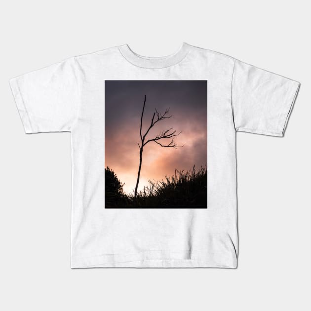 Silhouette Branches Kids T-Shirt by Geoff79